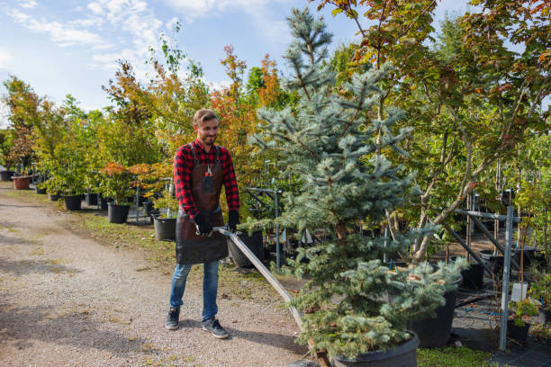 Best Hazardous Tree Removal  in Lake Park, NC